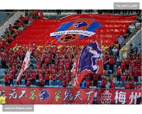 中国足球:危机中的反思与出路 中国足球:危机中的反思与出路